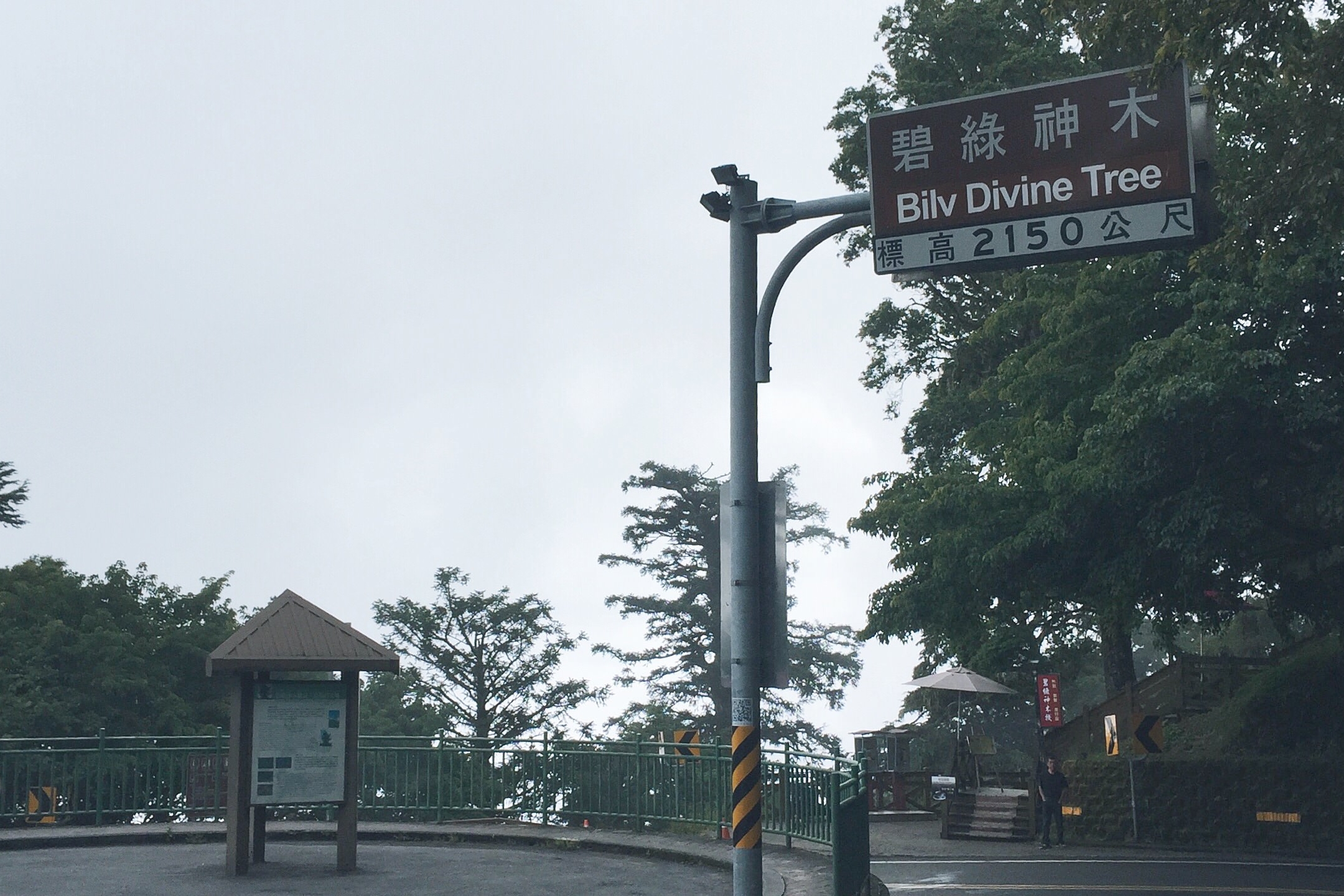 #wegotaiwan - Bilv Divine Tree