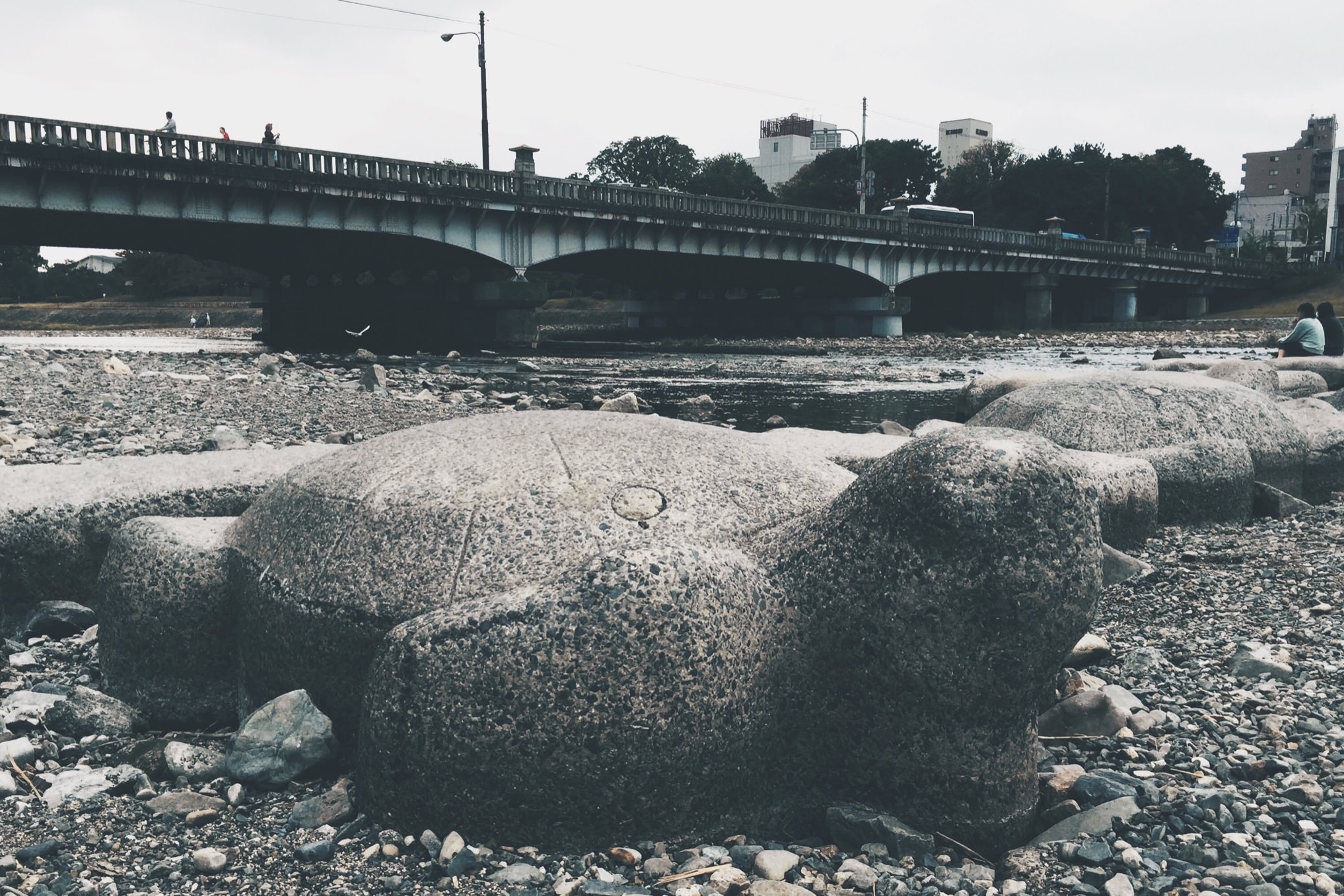 Japan Travelogue - Kamogawa River