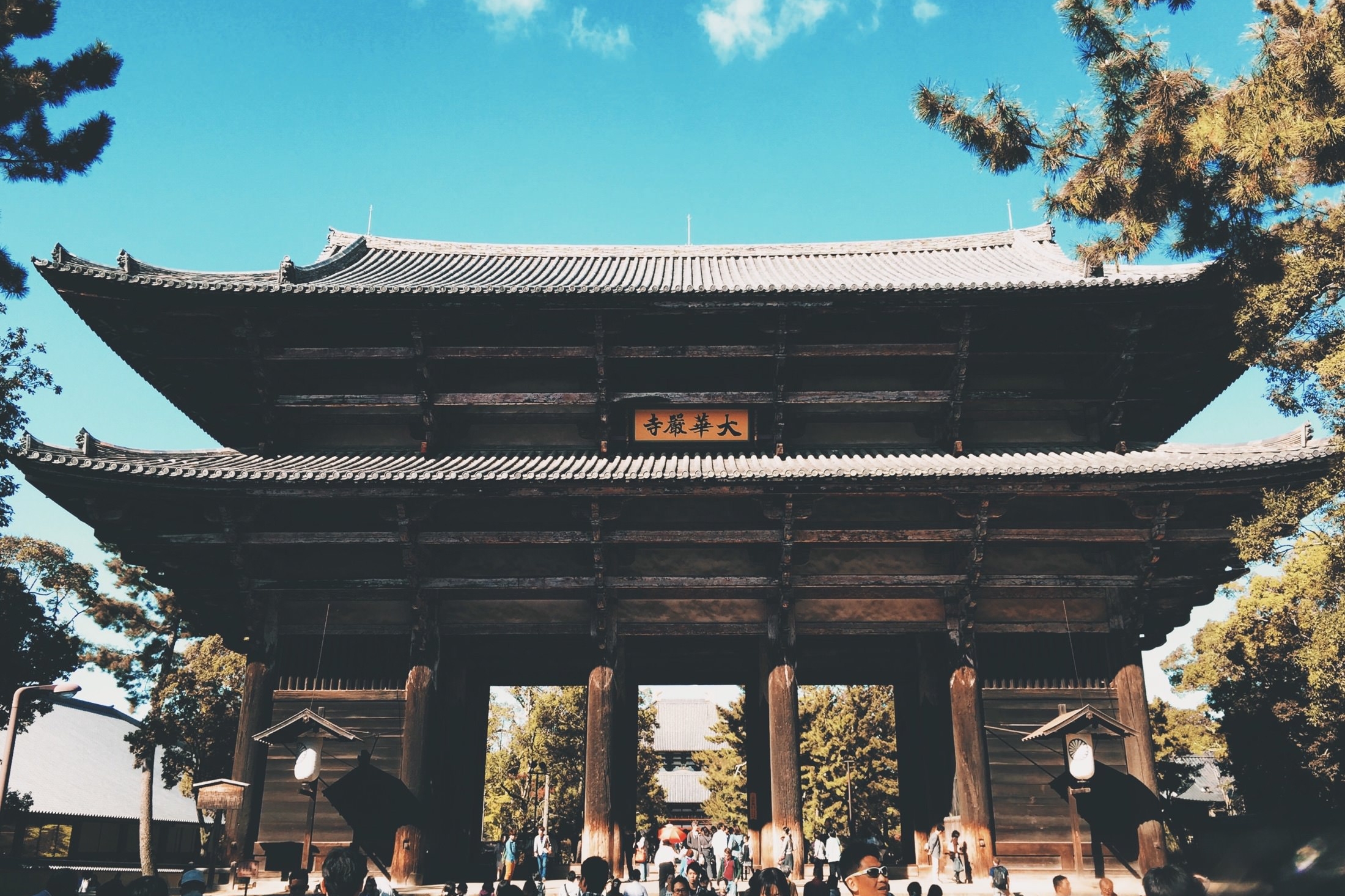 Japan Travelogue - Todaiji Temple