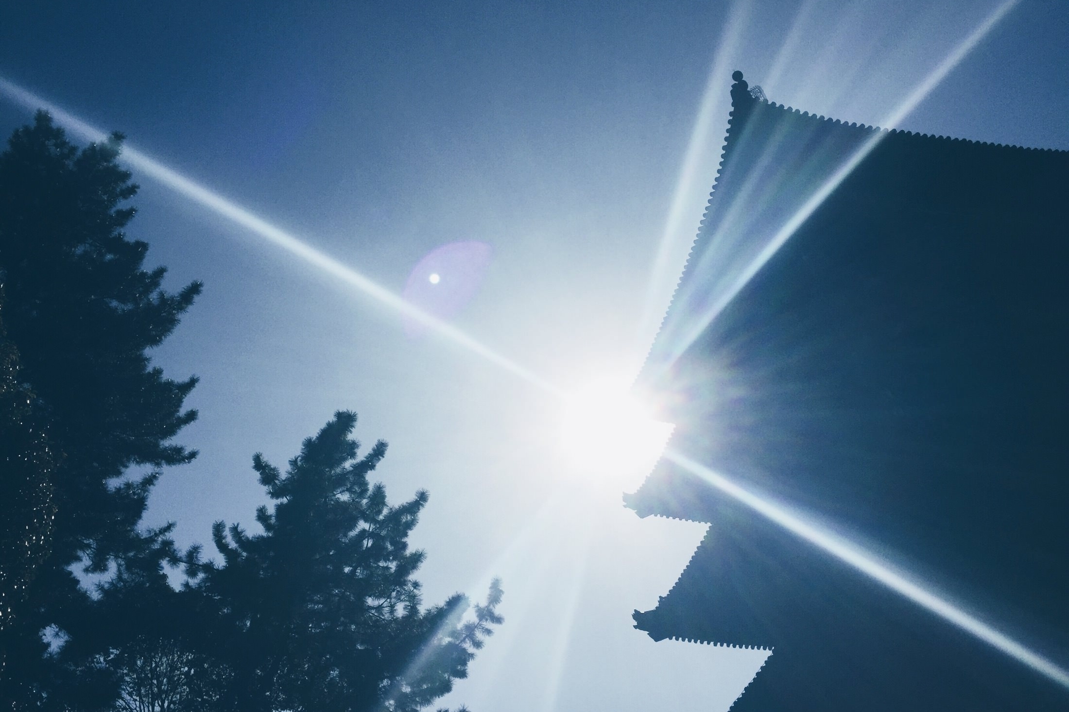 Japan Travelogue - Nara Three Story Pagoda