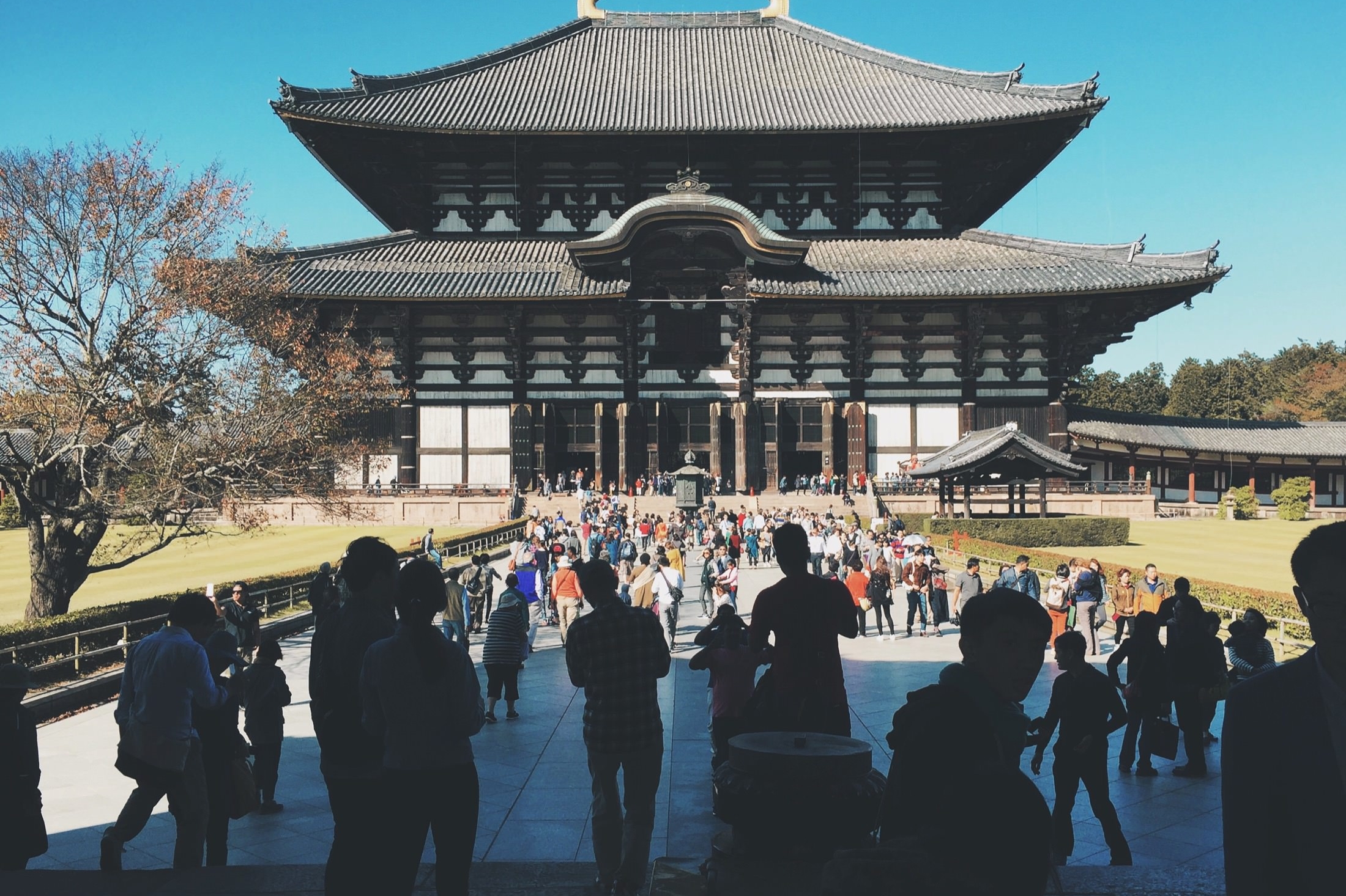 Japan Travelogue - Todaiji Temple