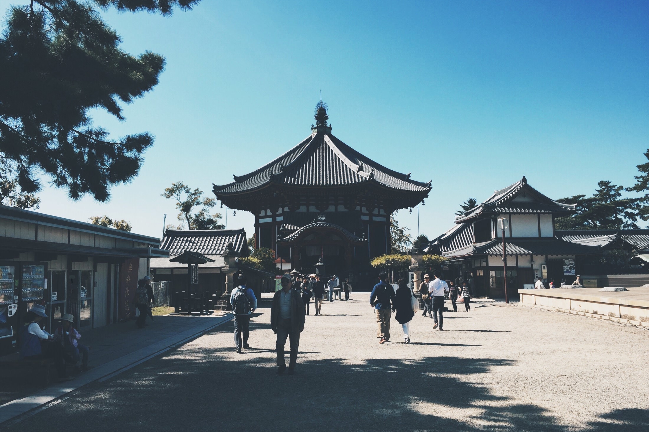 Japan Travelogue - Kohfukuji Temple