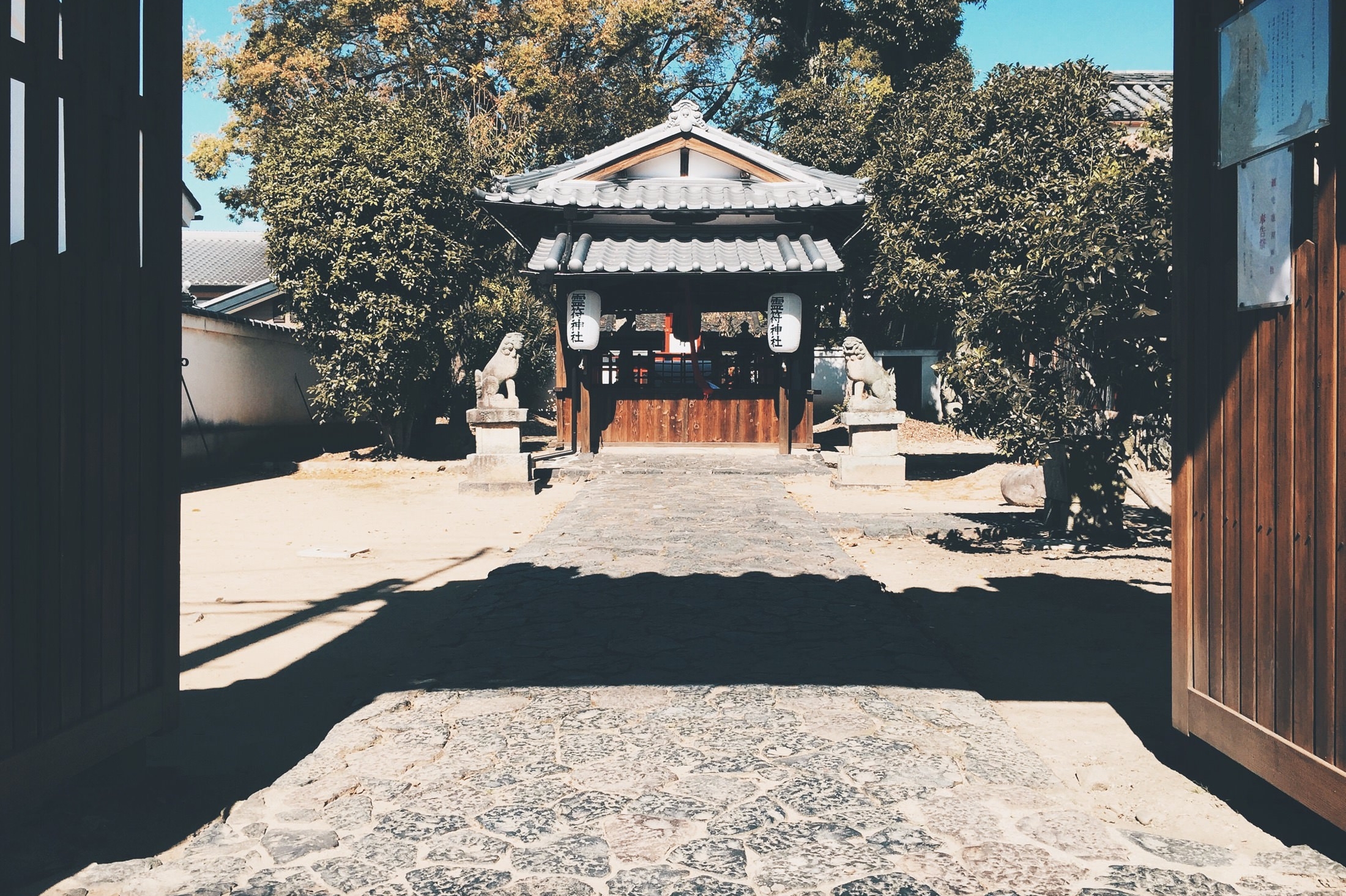 Japan Travelogue - Chintakureifu Shrine